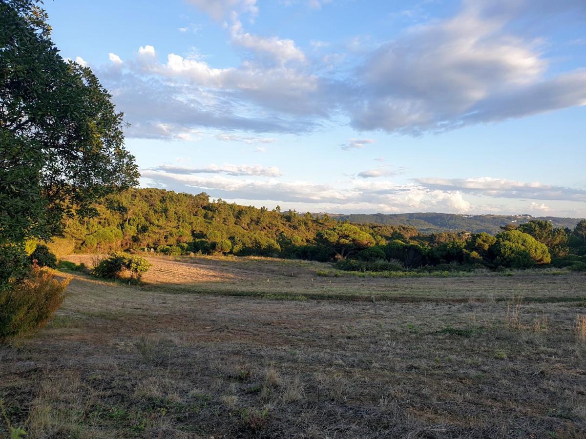 Appartamento Sondela Self Catering São Martinho do Porto Esterno foto