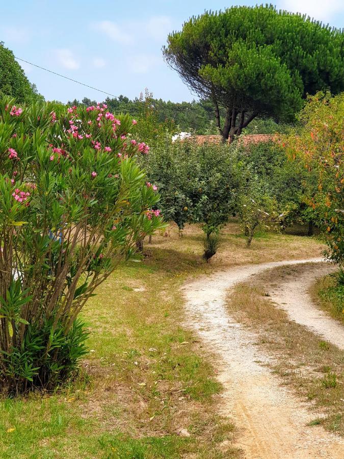 Appartamento Sondela Self Catering São Martinho do Porto Esterno foto