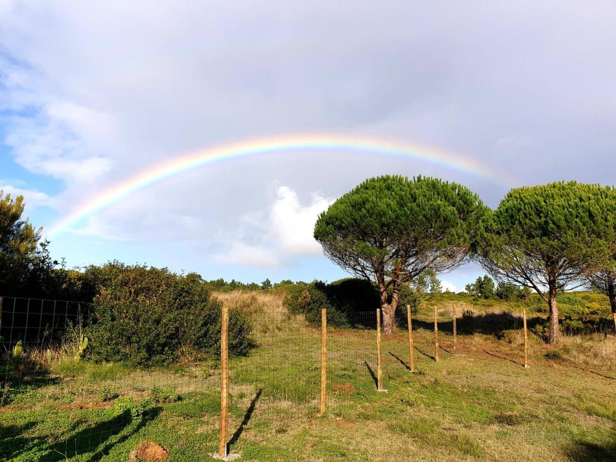 Appartamento Sondela Self Catering São Martinho do Porto Esterno foto