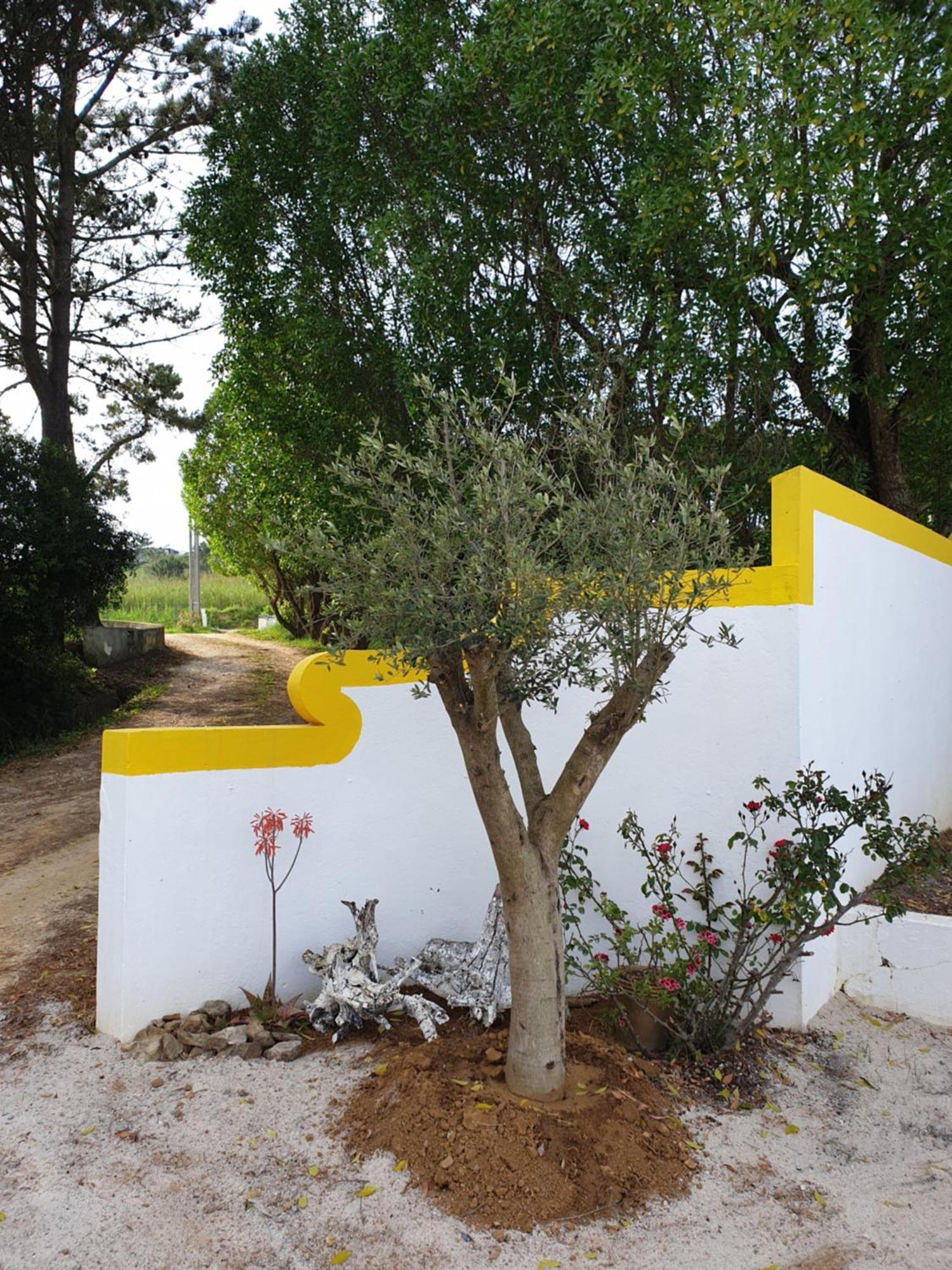 Appartamento Sondela Self Catering São Martinho do Porto Esterno foto