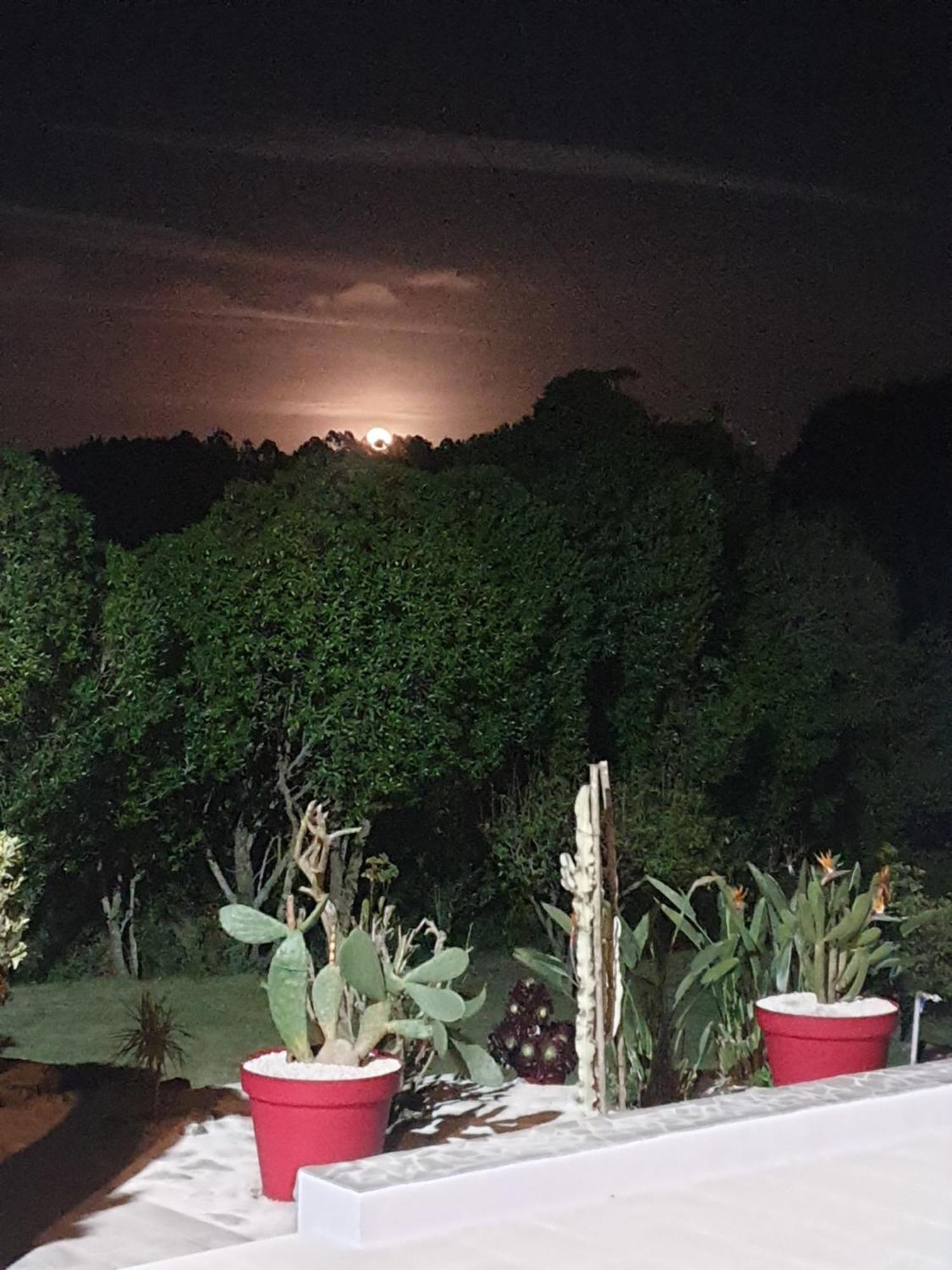 Appartamento Sondela Self Catering São Martinho do Porto Esterno foto