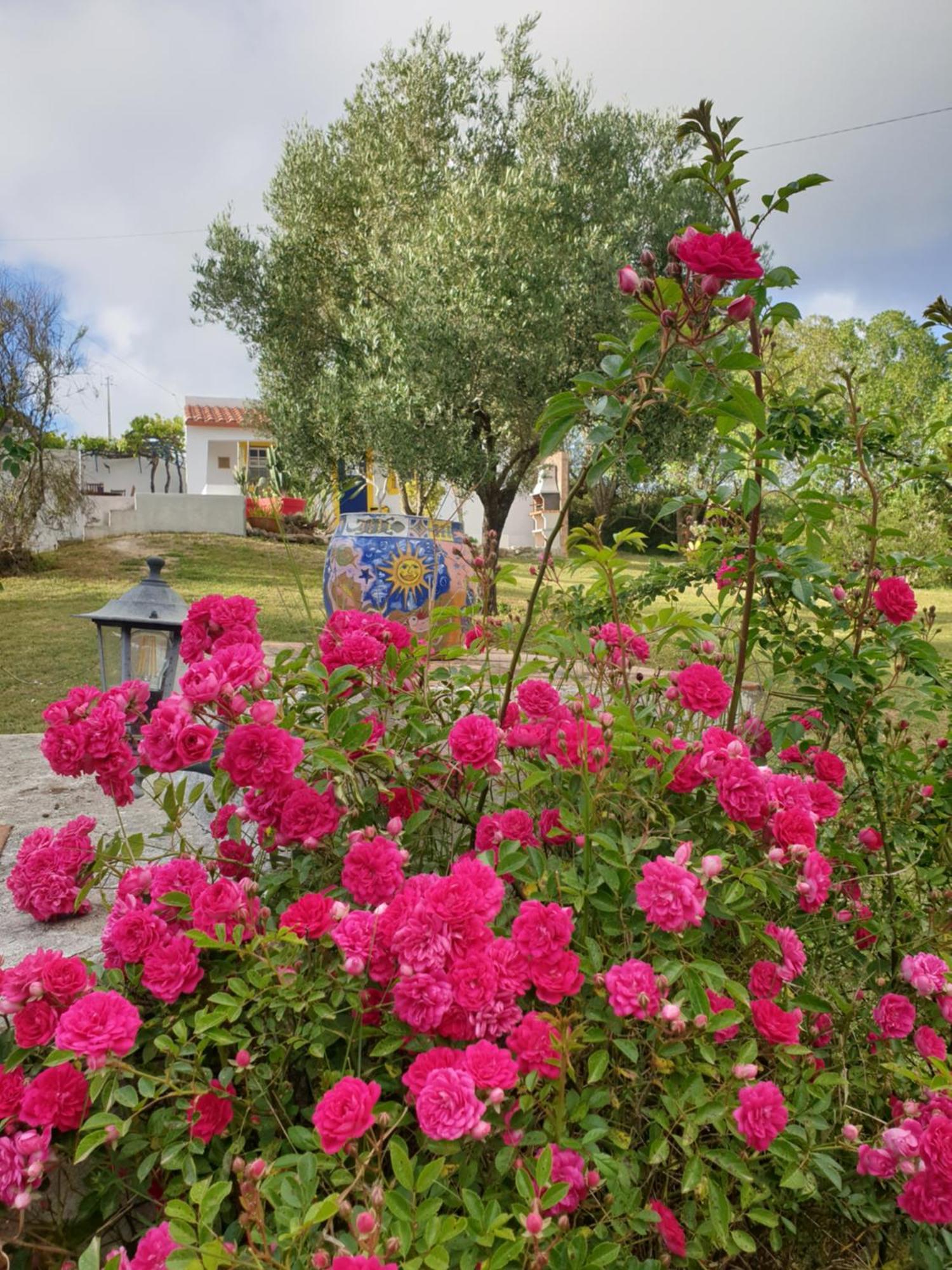 Appartamento Sondela Self Catering São Martinho do Porto Esterno foto